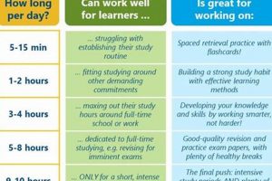 Study Smart: How Many Hours a Day Should You Study? Guide | Study Travel Abroad | Explore Educational Trips & Global Learning Opportunities