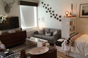 Design Your Ideal Living Studio: Ideas & Spaces Study Travel Abroad | Explore Educational Trips & Global Learning Opportunities Design Your Ideal Living Studio: Ideas & Spaces | Study Travel Abroad | Explore Educational Trips & Global Learning Opportunities