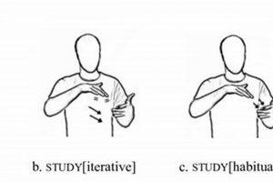 Learn by Studying in ASL: Your Complete Guide Study Travel Abroad | Explore Educational Trips & Global Learning Opportunities Learn by Studying in ASL: Your Complete Guide | Study Travel Abroad | Explore Educational Trips & Global Learning Opportunities