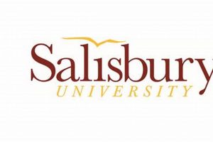 Your SU Abroad Journey: Salisbury University Study Abroad Guide | Study Travel Abroad | Explore Educational Trips & Global Learning Opportunities