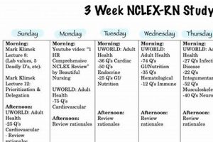 NCLEX Study: Is 5 Weeks Enough Prep Time? Study Travel Abroad | Explore Educational Trips & Global Learning Opportunities NCLEX Study: Is 5 Weeks Enough Prep Time? | Study Travel Abroad | Explore Educational Trips & Global Learning Opportunities