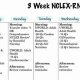 NCLEX Study: Is 5 Weeks Enough Prep Time? | Study Travel Abroad | Explore Educational Trips & Global Learning Opportunities