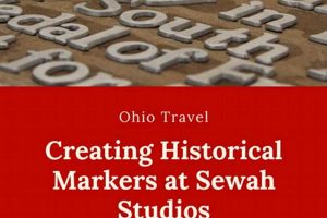 Discover Sewah Studios: Urban Living Redefined | Study Travel Abroad | Explore Educational Trips & Global Learning Opportunities
