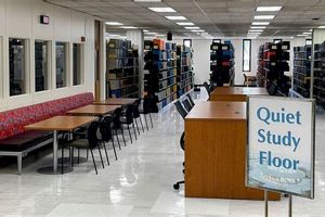 Best Library to Study Guide: Ace Your Exams! | Study Travel Abroad | Explore Educational Trips & Global Learning Opportunities