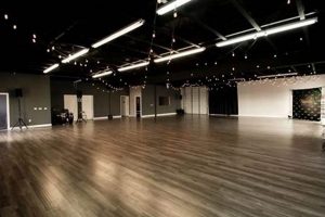 Capture Dance: Image Studio for Stunning Visuals | Study Travel Abroad | Explore Educational Trips & Global Learning Opportunities