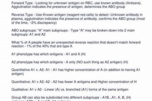 Your Complete ABO Study Guide 2024 + Tips | Study Travel Abroad | Explore Educational Trips & Global Learning Opportunities