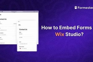 Easy Form Embeds: Wix Studio Integration Guide | Study Travel Abroad | Explore Educational Trips & Global Learning Opportunities