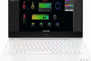 The Ultimate Light Studio Guide: Setup & Tips | Study Travel Abroad | Explore Educational Trips & Global Learning Opportunities