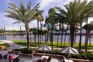 Top UTampa Study Abroad Programs: Your Global Journey! | Study Travel Abroad | Explore Educational Trips & Global Learning Opportunities