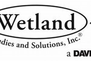Expert Wetland Studies & Solutions Inc. Services Here | Study Travel Abroad | Explore Educational Trips & Global Learning Opportunities