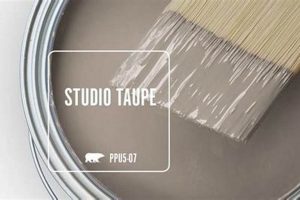 Behr Studio Taupe: A Study in Warm, Neutral Style | Study Travel Abroad | Explore Educational Trips & Global Learning Opportunities
