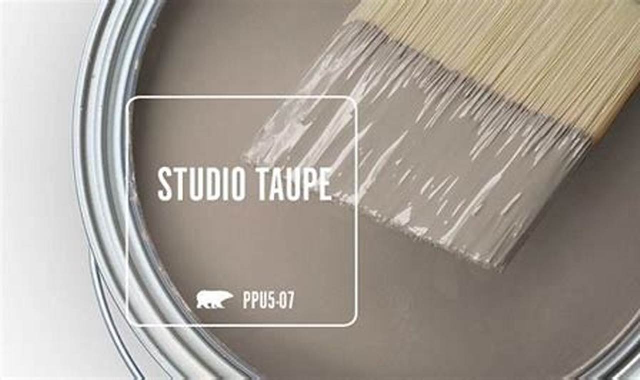 Behr Studio Taupe: A Study in Warm, Neutral Style | Study Travel Abroad | Explore Educational Trips & Global Learning Opportunities