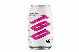 Unlock Design Excellence: Studio TBD Labtests, Validated | Study Travel Abroad | Explore Educational Trips & Global Learning Opportunities