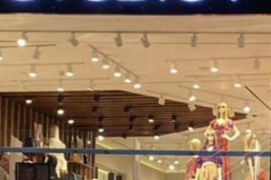 Guide to Studio F Mexico Brand Trends + Tips | Study Travel Abroad | Explore Educational Trips & Global Learning Opportunities