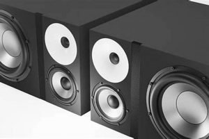 Best 3 Way Studio Monitors: A Pro's Guide | Study Travel Abroad | Explore Educational Trips & Global Learning Opportunities