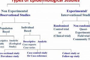 Types of Studies: Epidemiology Explained + More Study Travel Abroad | Explore Educational Trips & Global Learning Opportunities Types of Studies: Epidemiology Explained + More | Study Travel Abroad | Explore Educational Trips & Global Learning Opportunities