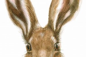 Your Guide: Marin Open Studios Art Event [Year] | Study Travel Abroad | Explore Educational Trips & Global Learning Opportunities