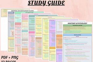 Top Anatomy & Physiology Study Guides: Your Path to Success! Study Travel Abroad | Explore Educational Trips & Global Learning Opportunities Top Anatomy & Physiology Study Guides: Your Path to Success! | Study Travel Abroad | Explore Educational Trips & Global Learning Opportunities