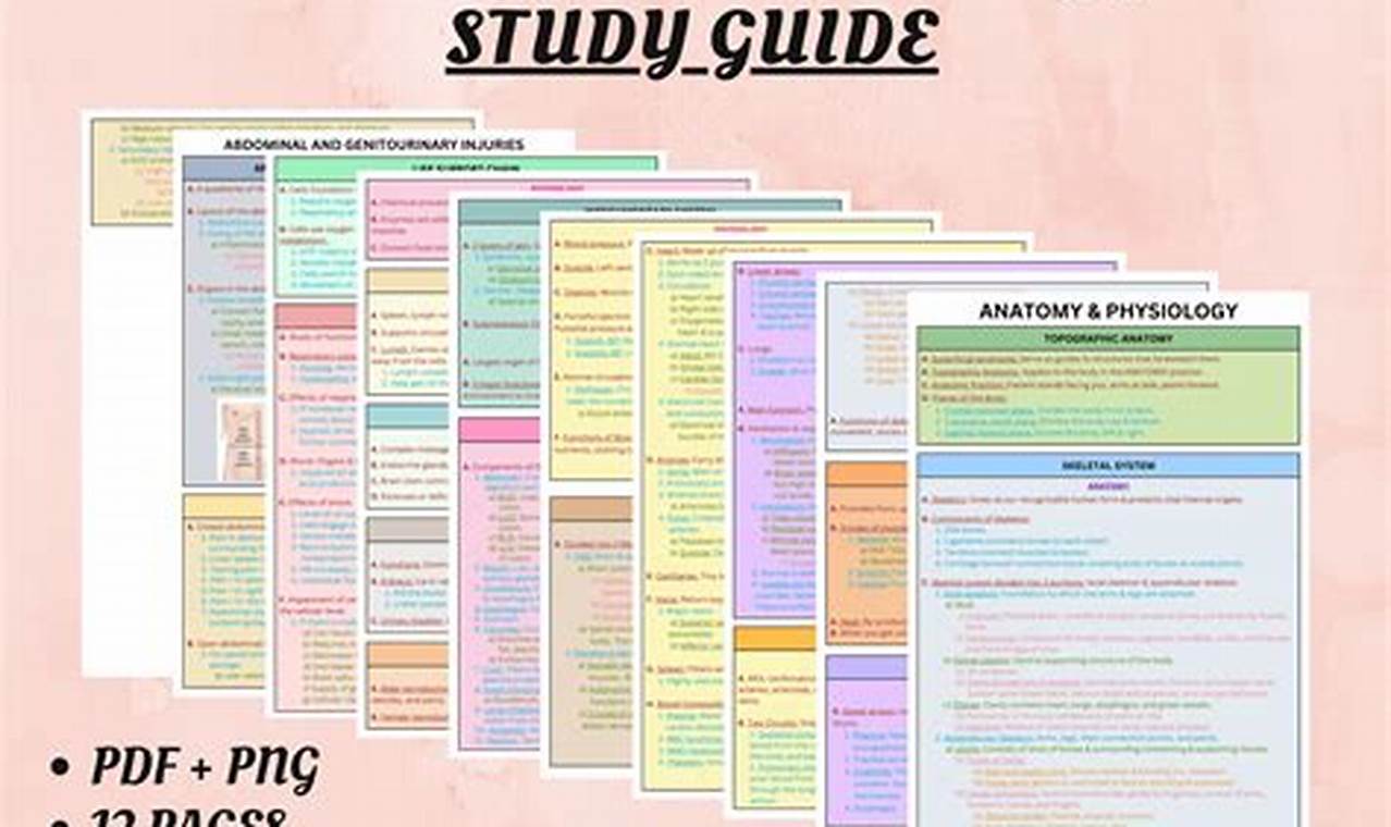 Top Anatomy & Physiology Study Guides: Your Path to Success! | Study Travel Abroad | Explore Educational Trips & Global Learning Opportunities