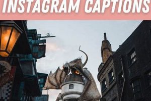 Best Instagram Captions for Universal Studios: [Year] Guide | Study Travel Abroad | Explore Educational Trips & Global Learning Opportunities