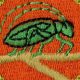 Unlock the Insect Study Merit Badge: A Guide | Study Travel Abroad | Explore Educational Trips & Global Learning Opportunities