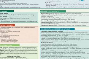 The Ultimate Nursing Pharmacology Study Guide (2024) | Study Travel Abroad | Explore Educational Trips & Global Learning Opportunities