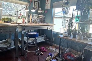 Unlocking Creativity: Zinnia Sky Studio Spaces | Study Travel Abroad | Explore Educational Trips & Global Learning Opportunities