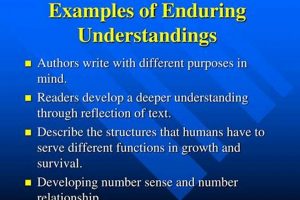 Social Studies: Enduring Understandings Examples Explored | Study Travel Abroad | Explore Educational Trips & Global Learning Opportunities