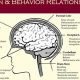 Brain Study: Methods &amp; Relationships Table + Guide | Study Travel Abroad | Explore Educational Trips & Global Learning Opportunities