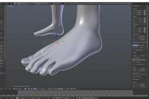 Daz G8M Foot Morph Study: Shape Perfect Feet Now! Study Travel Abroad | Explore Educational Trips & Global Learning Opportunities Daz G8M Foot Morph Study: Shape Perfect Feet Now! | Study Travel Abroad | Explore Educational Trips & Global Learning Opportunities