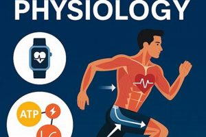 Unlocking Performance: Exercise Physiology is the Study of You | Study Travel Abroad | Explore Educational Trips & Global Learning Opportunities