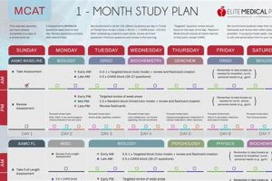 Your Fast Track: 1 Month MCAT Study Plan Success! | Study Travel Abroad | Explore Educational Trips & Global Learning Opportunities