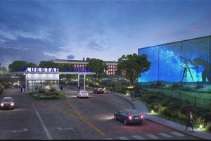 Elevate Art: Bluestar Studio - Your Creative Hub | Study Travel Abroad | Explore Educational Trips & Global Learning Opportunities