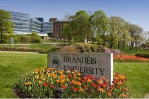 Unlock Global Ed: Brandeis University Study Abroad Now! Study Travel Abroad | Explore Educational Trips & Global Learning Opportunities Unlock Global Ed: Brandeis University Study Abroad Now! | Study Travel Abroad | Explore Educational Trips & Global Learning Opportunities