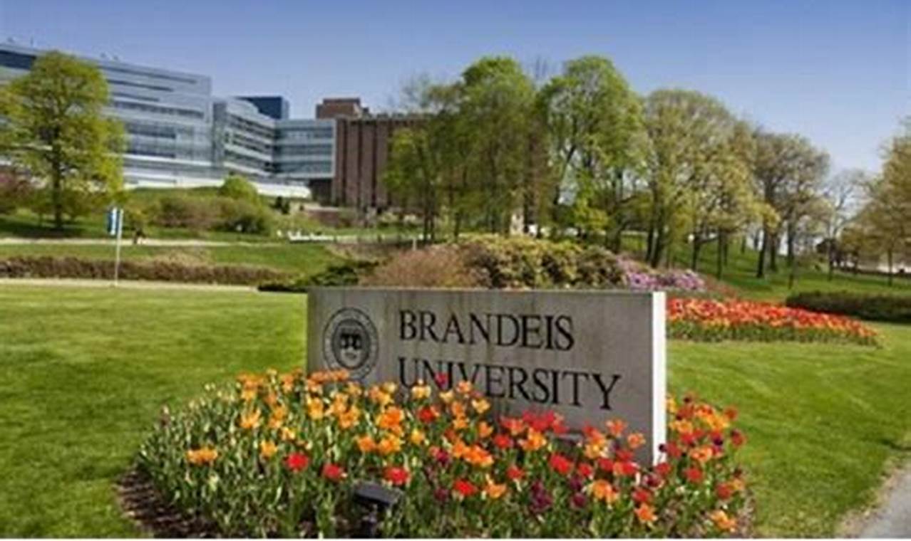 Unlock Global Ed: Brandeis University Study Abroad Now! Study Travel Abroad | Explore Educational Trips & Global Learning Opportunities Unlock Global Ed: Brandeis University Study Abroad Now! | Study Travel Abroad | Explore Educational Trips & Global Learning Opportunities
