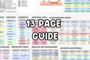 Best Vet Tech Study Guide [YEAR] - Prep Resources! | Study Travel Abroad | Explore Educational Trips & Global Learning Opportunities