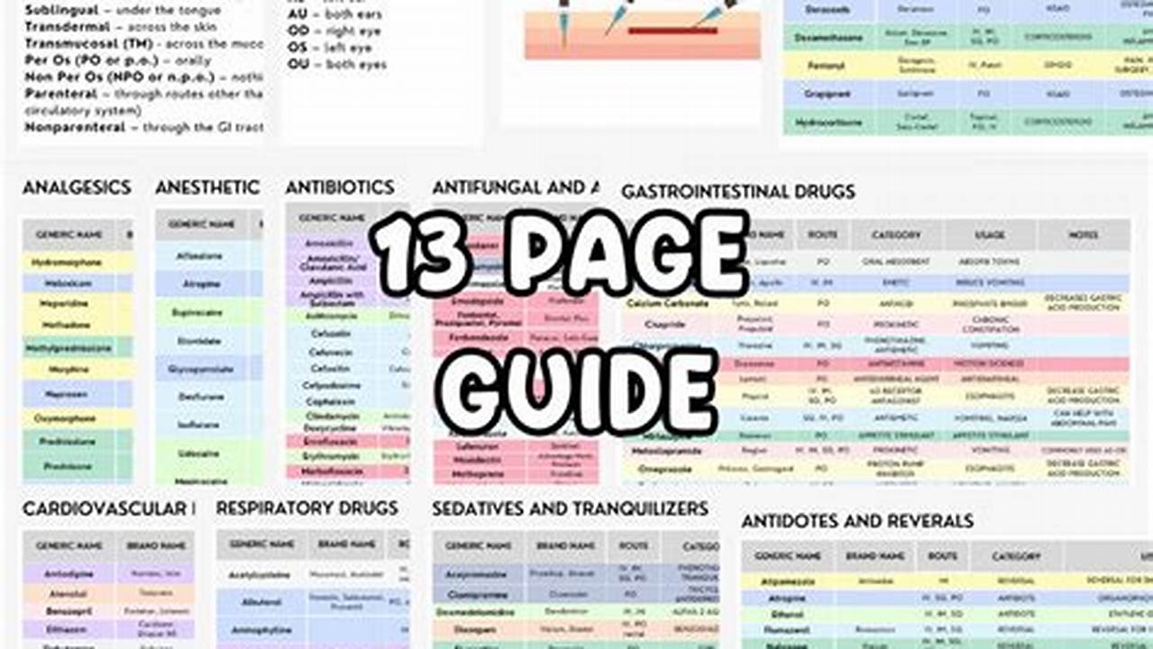 Best Vet Tech Study Guide [YEAR] - Prep Resources! | Study Travel Abroad | Explore Educational Trips & Global Learning Opportunities