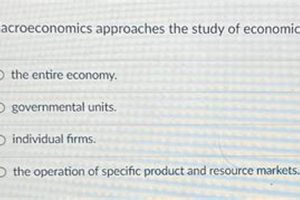 Understanding: Macroeconomics Approaches to Economics | Study Travel Abroad | Explore Educational Trips & Global Learning Opportunities