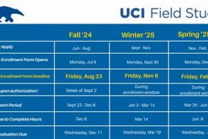 UCI Field Study Guide: Research Tips & Best Practices Study Travel Abroad | Explore Educational Trips & Global Learning Opportunities UCI Field Study Guide: Research Tips & Best Practices | Study Travel Abroad | Explore Educational Trips & Global Learning Opportunities