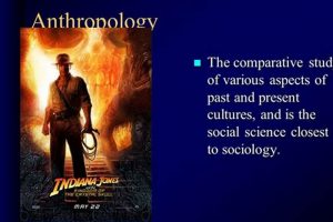 Understanding Cultures: A Comparative Study Guide | Study Travel Abroad | Explore Educational Trips & Global Learning Opportunities