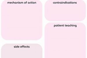 Ace Nursing School: Study Cards That Work! | Study Travel Abroad | Explore Educational Trips & Global Learning Opportunities