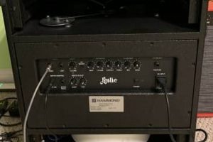 Your Guide to Leslie Studio 12: Info & More | Study Travel Abroad | Explore Educational Trips & Global Learning Opportunities