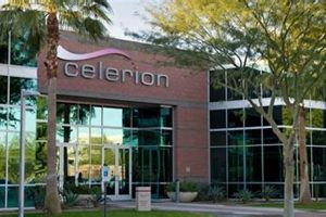 Celerion's Phoenix Study: Insights &amp; Analysis | Study Travel Abroad | Explore Educational Trips & Global Learning Opportunities