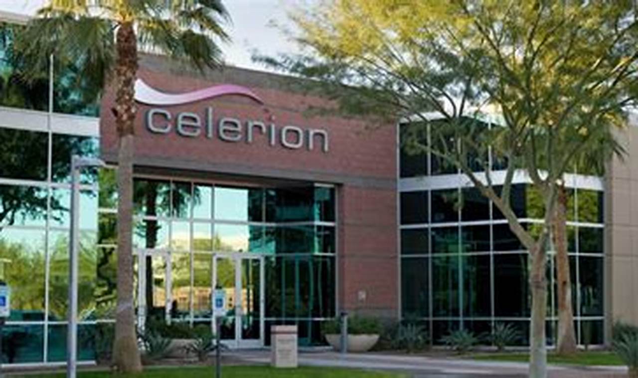 Celerion's Phoenix Study: Insights &amp; Analysis | Study Travel Abroad | Explore Educational Trips & Global Learning Opportunities