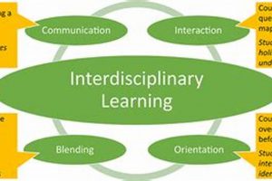 Best Interdisciplinary Studies Examples: Your Guide | Study Travel Abroad | Explore Educational Trips & Global Learning Opportunities