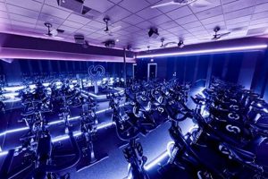 Your Night Awaits: Club Studio Miami - Book Now! | Study Travel Abroad | Explore Educational Trips & Global Learning Opportunities