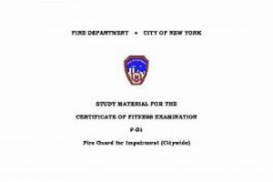 Your F01 Study Guide: Ace the F01 Exam! | Study Travel Abroad | Explore Educational Trips & Global Learning Opportunities