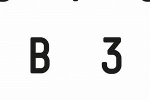 Enhance Your Studio B3 Setup: Tips & Tricks | Study Travel Abroad | Explore Educational Trips & Global Learning Opportunities