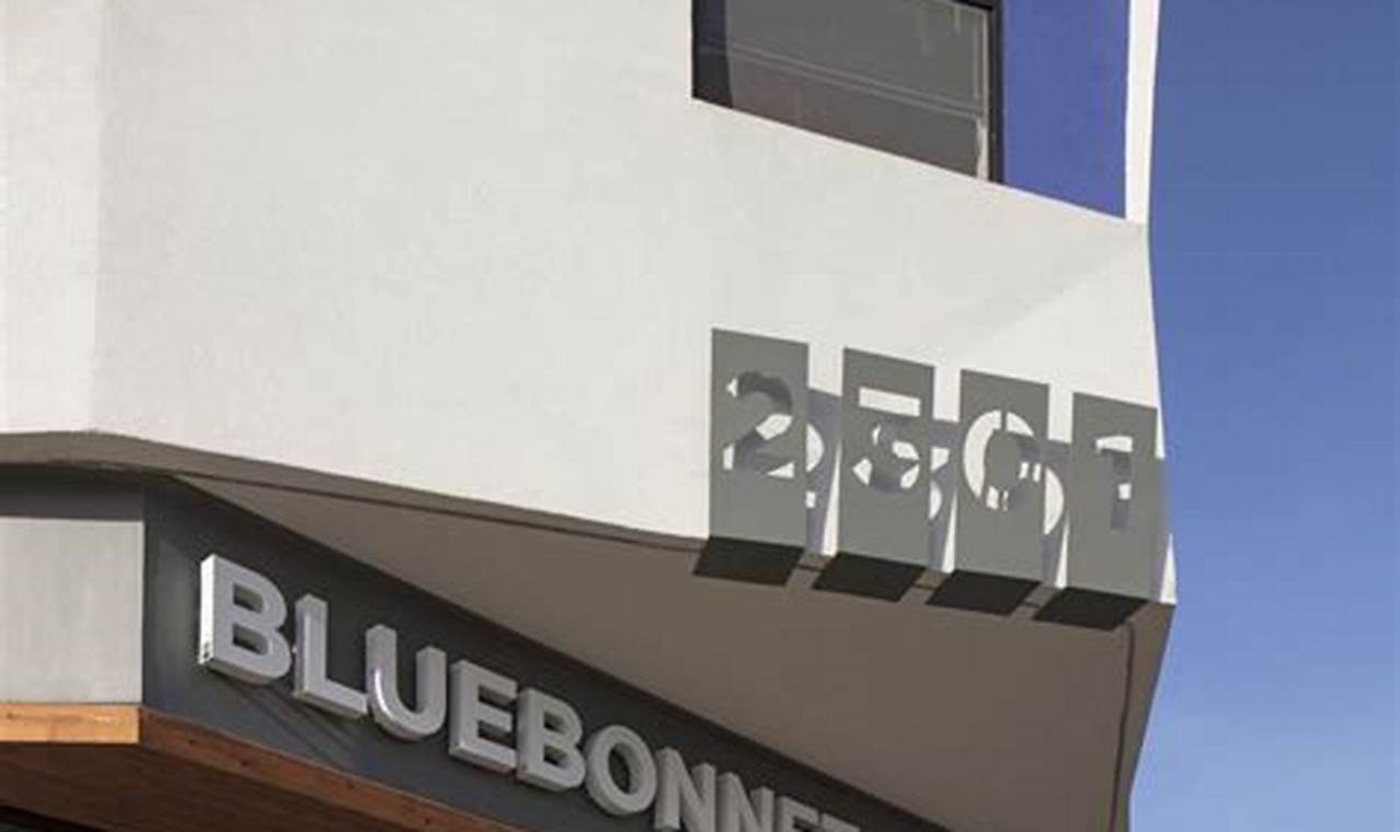 South Lamar's Bluebonnet Studios: Your Austin Photo Studio | Study Travel Abroad | Explore Educational Trips & Global Learning Opportunities