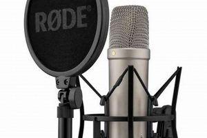 Best Home Studio Microphone in 2024: Your Guide | Study Travel Abroad | Explore Educational Trips & Global Learning Opportunities
